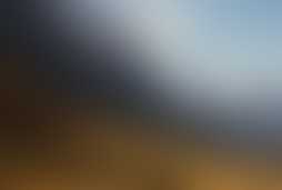 Фотография ролевого квеста Дикий Запад от компании Da Vinci Quest (Фото 1)
