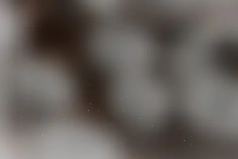 Квест «Руны» от Сквозь Квест