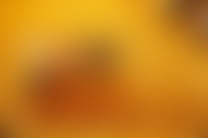 Фотография ролевого квеста Симпозиум очень опытных пчеловодов от компании Da Vinci Quest (Фото 1)