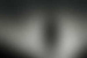 Фотография квеста-анимации Ночь триффидов от компании Клуб умных игр "Clever" (Фото 1)