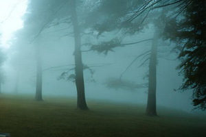 Фотография экшн-игры Лига теней от компании Берлога лофт (Фото 1)
