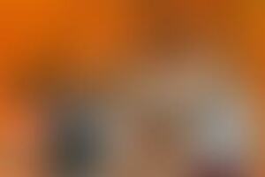 Фотография экшн-игры Идеальная встреча от компании В темноте (Фото 1)