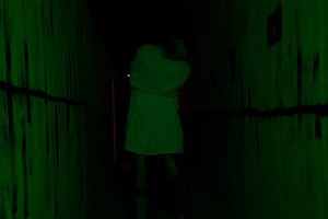 Фотография перформанса The Evil Within от компании Perfect Storm (Фото 2)