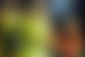 Фотография экшн-игры Джуманджи (delete) от компании Delete (Фото 3)