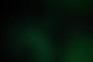 Фотография перформанса Resident Evil: Biohazard от компании Perfect Storm (Фото 1)