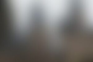 Фотография городского квеста Философский камень от компании Квесты в "Старой Сарепте" (Фото 1)