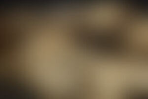 Фотография квеста Дневник убийцы от компании Паника (Фото 1)