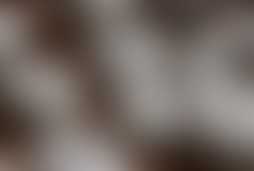 Фотография квеста Руны от компании Сквозь Квест (Фото 1)