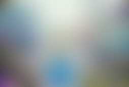Фотография ролевого квеста Чудесная страна от компании Чё за квест (Фото 1)
